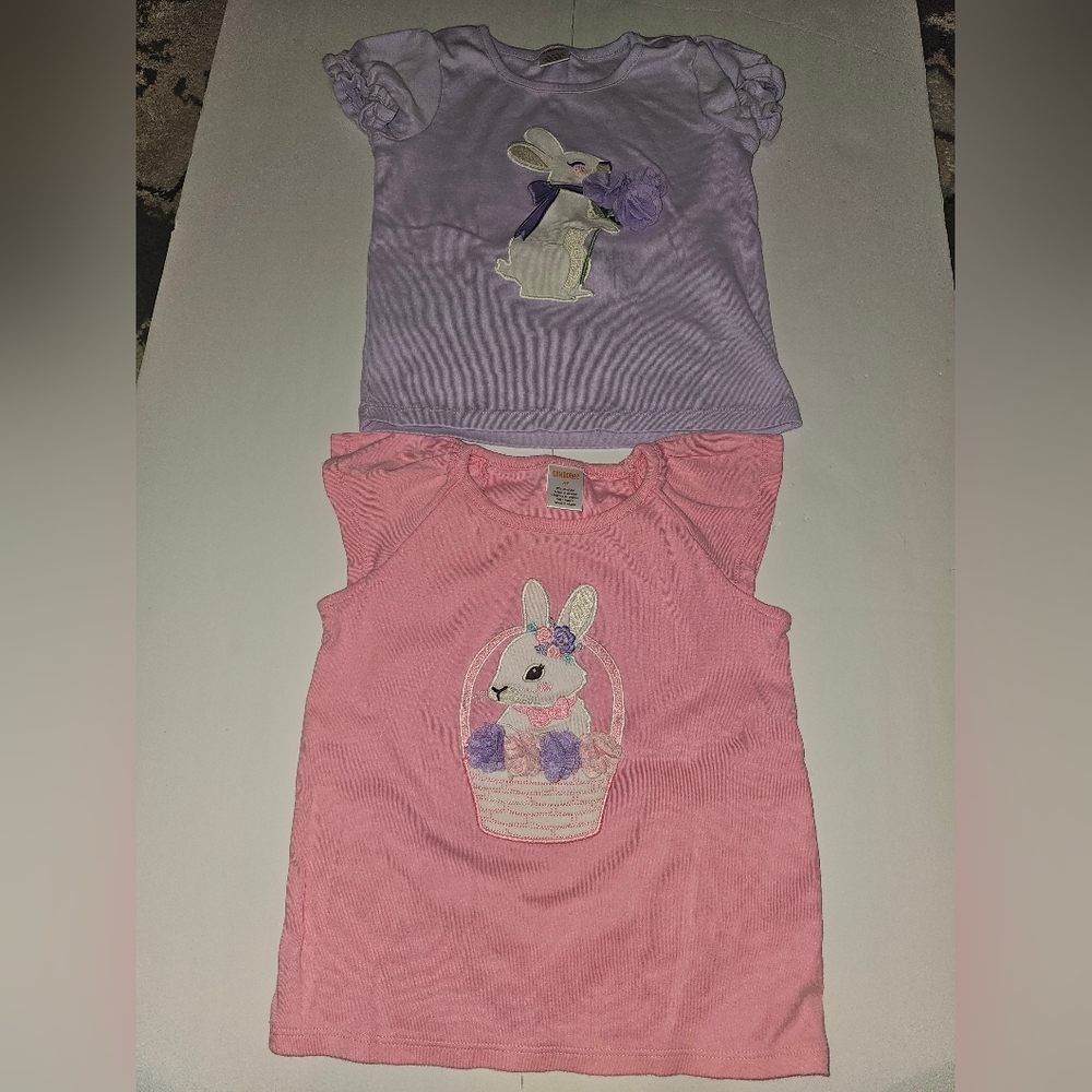 2 GYMBOREE Bunny Shirt — 4T Pink Purple